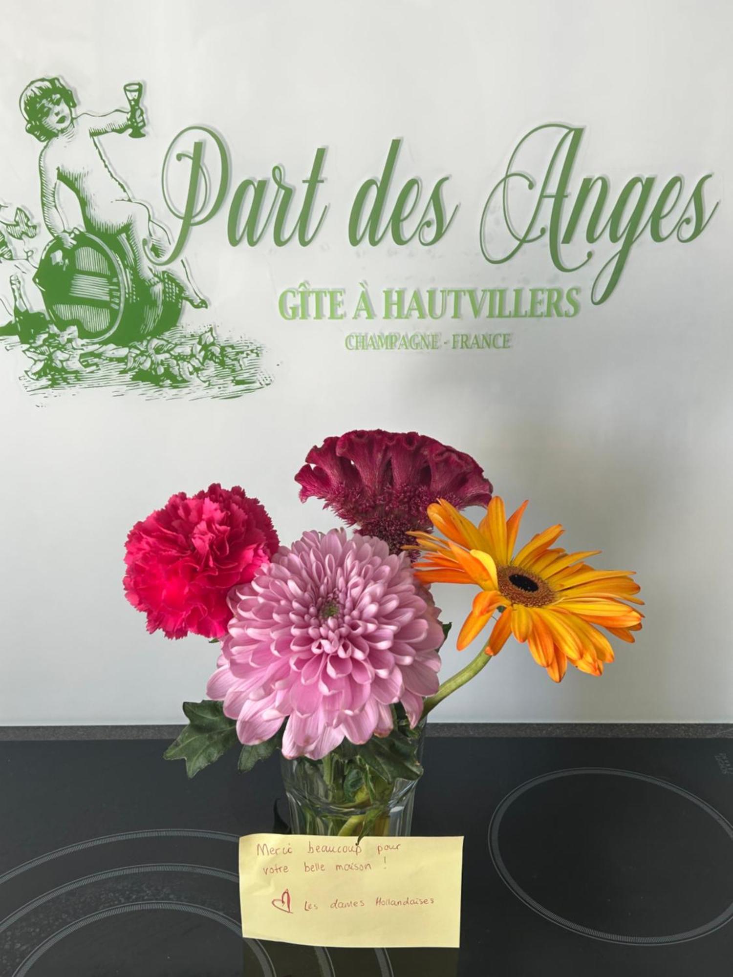 Part Des Anges - Gite Hautvillers Exterior photo